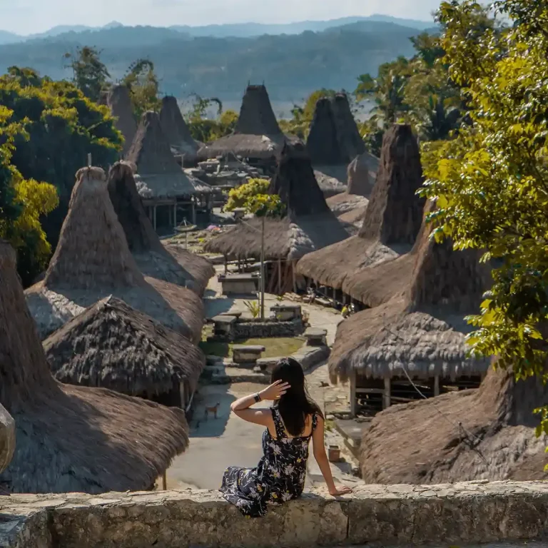 A visitor overlooking the thatched clan houses of Prai Ijing traditional village in West Sumba