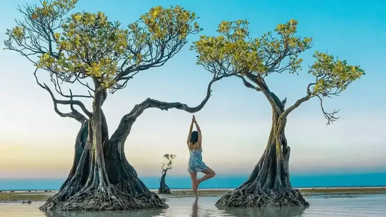 A yoga pose among the dancing mangrove trees of Walakiri Beach at sunset, East Sumba