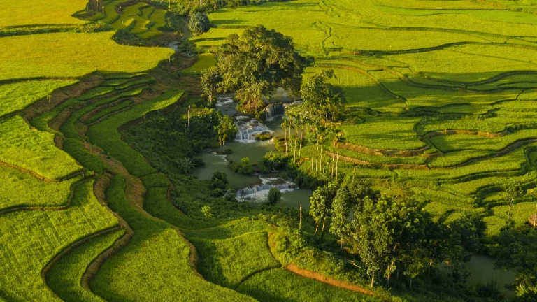 Aerial view of green rice terraces and a winding stream near Weekacura in Southwest Sumba